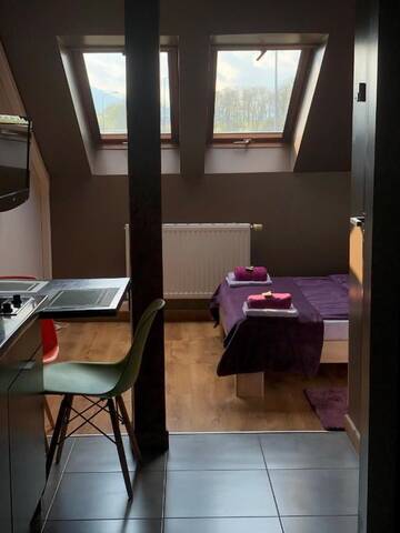 Фото номера Апартаменты с душем Апартаменты Apartamenty Maria г. Живец 9
